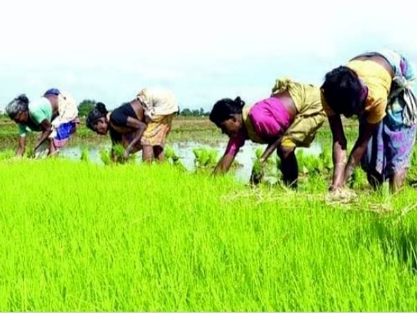 Help Us Support Daily Wage Earners During COVID-19 Crisis