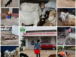 Help poor & animals to fight against COVID19 during the lockdown.