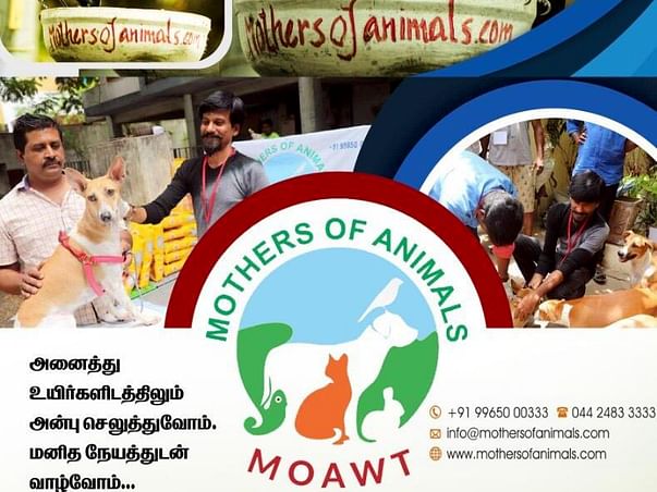Help Mothers of Animals Help, Feed And Rescue The Poor Stray Animals