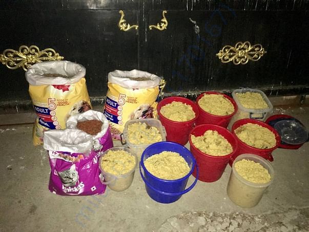 Food is ready !