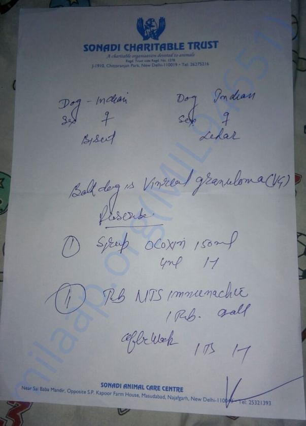 Supplements for dogs suffering from cancer and infection.