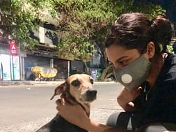 Help sterilise stray dogs