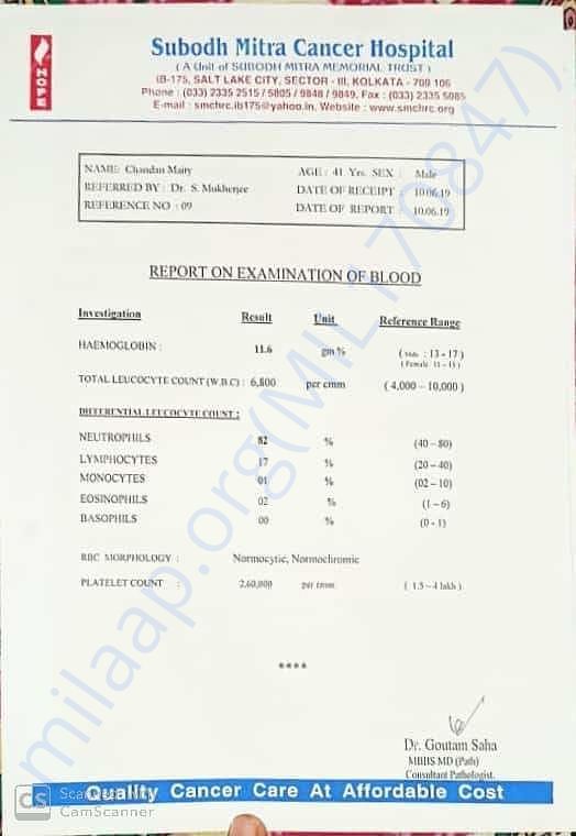 Blood report