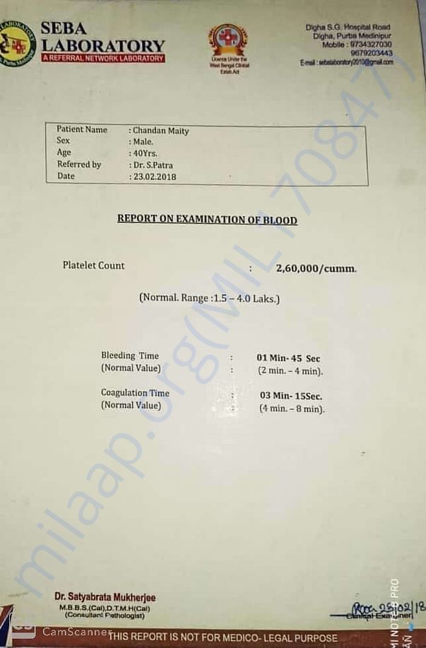 Another blood report