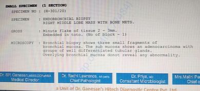 Bronchial Biopsy Report
