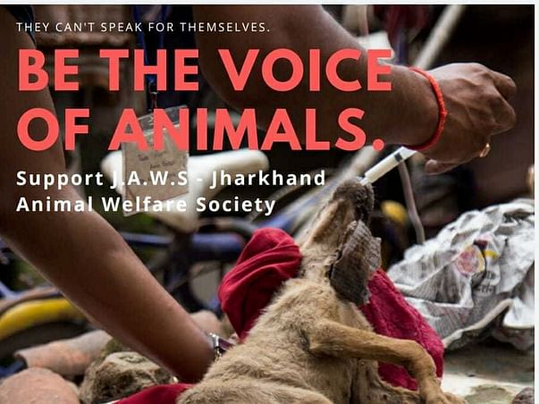Animal Welfare - For Every Paw Needs a Hand