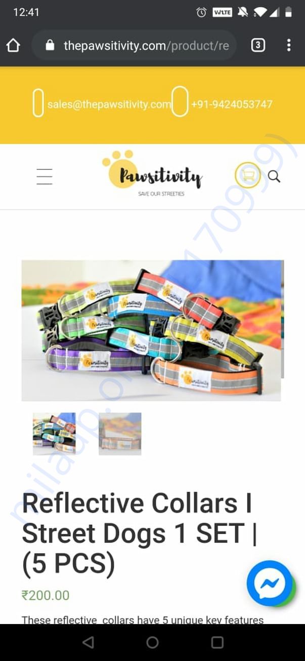 Reflective collars price amount. Please check the update for more info