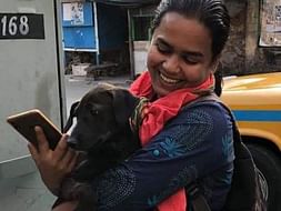 Spay/Neuter Of 100 more furries Of Kolkata❣️