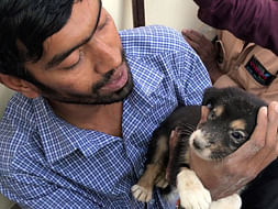 Support Pradeep Nair Who Has Rescued 70000 Injured Animals