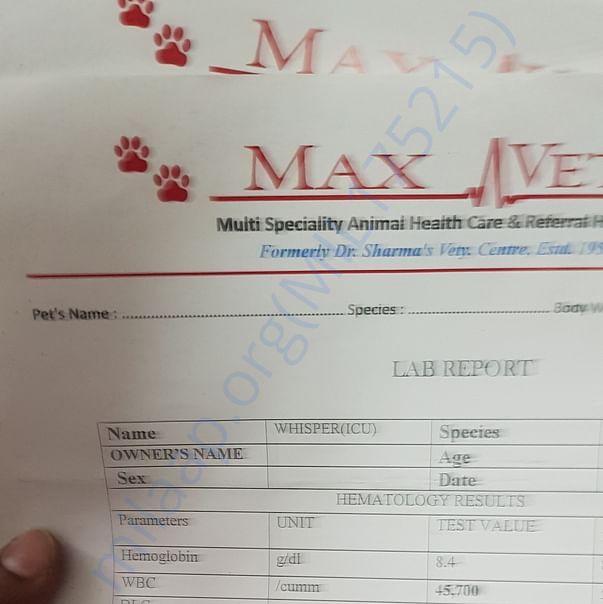 Medical Report