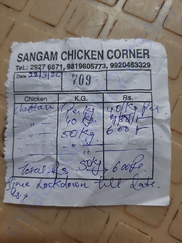 Bill of chicken