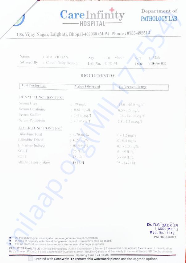 Document