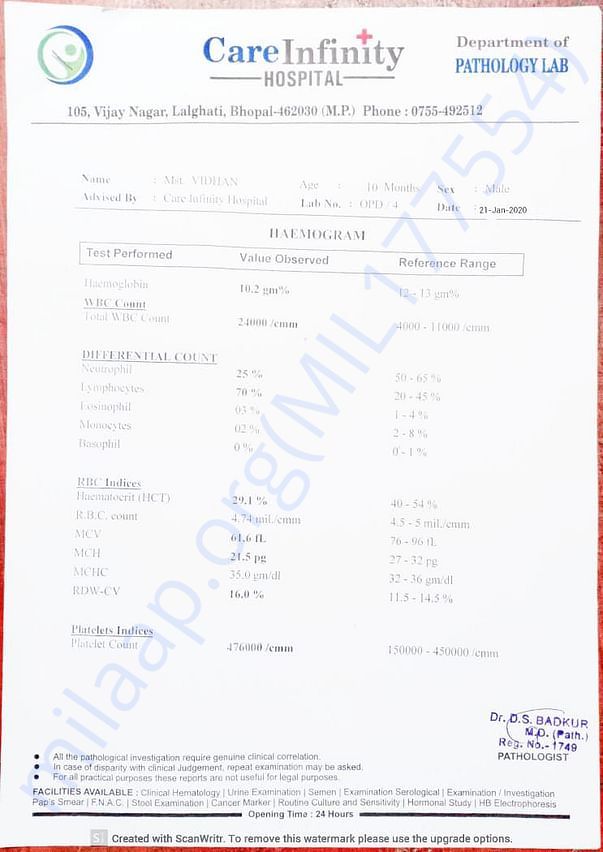 Document