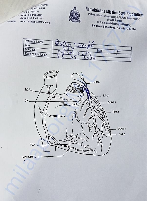 Cardiac Blockage Report