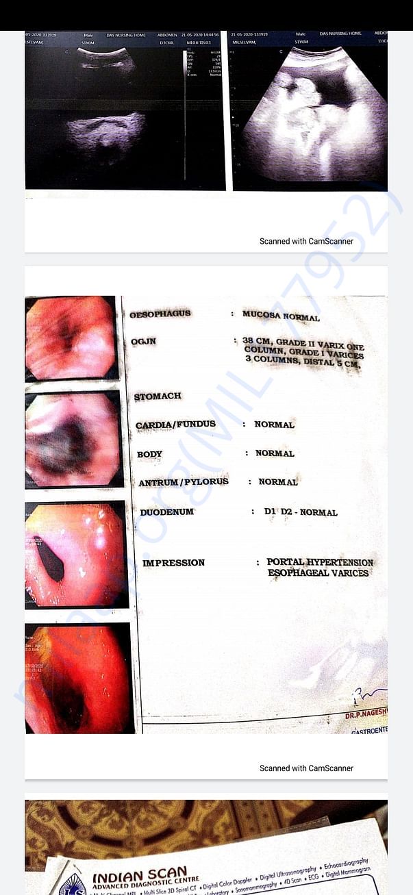Endoscopic report