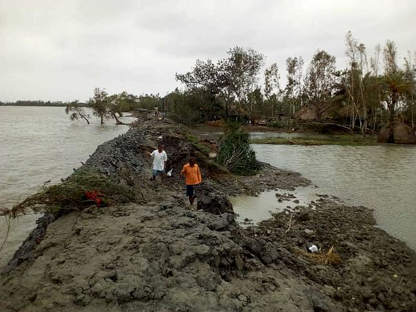 Restoring the Mangroves & the Uncharted Delta after Amphan