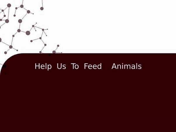 Help Us To Feed Animals