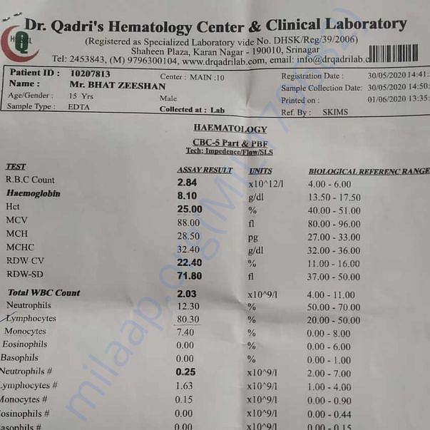 Medical Report