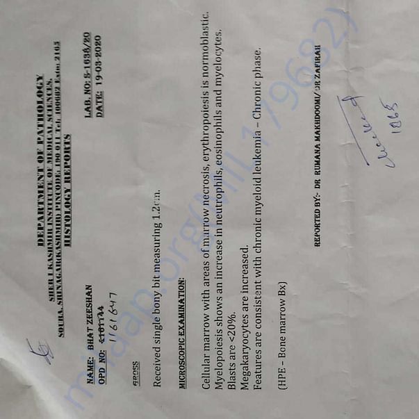 Medical Report