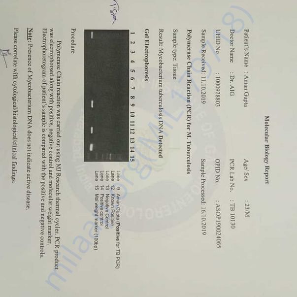 Medical Report