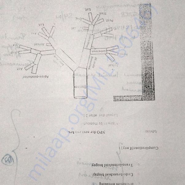Medical Report