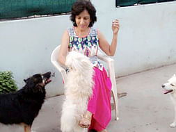 Help Neelam establish 108 services for stray animals in Bhopal