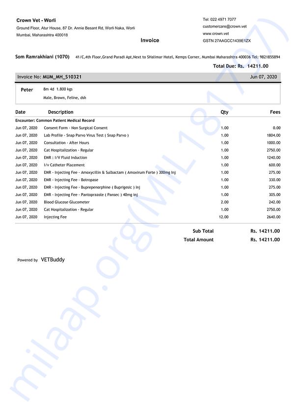Medical Bill