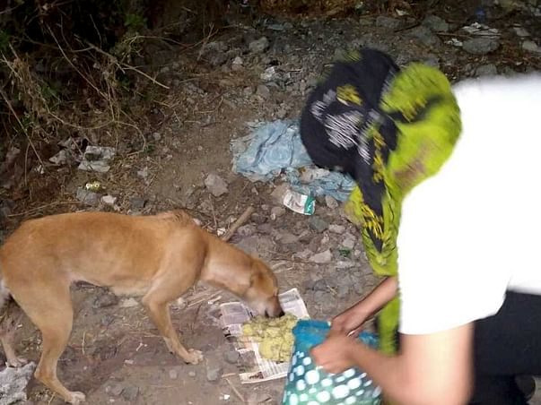 Help us to continue helping the stray dogs