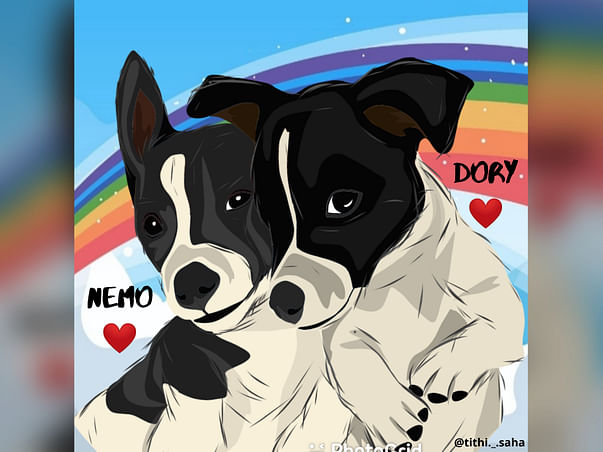 In loving memory of Nemo & Dory ~The #IMMUNIZE100 Fundraiser