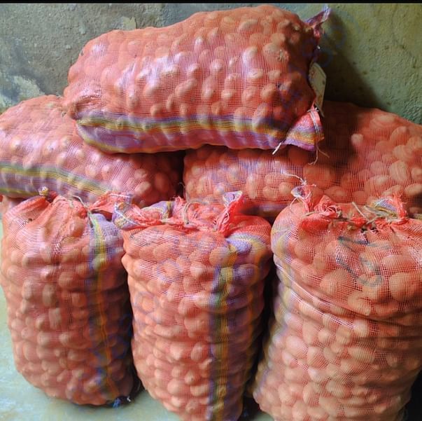 Salt acquired for Paruldaha and Marapia