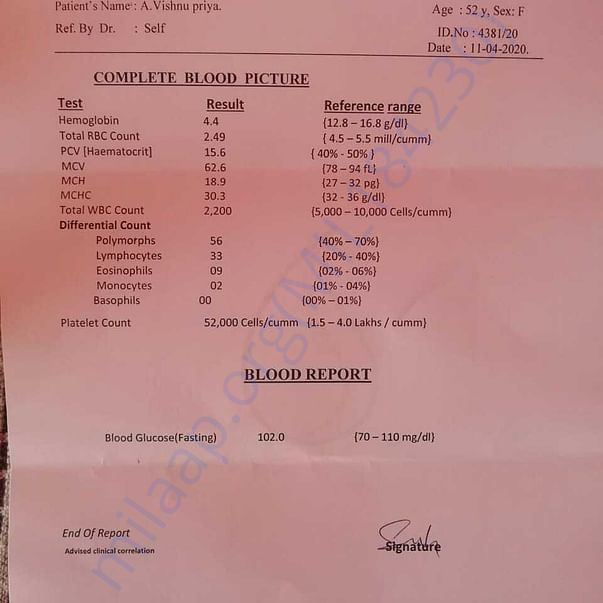 Medical Report