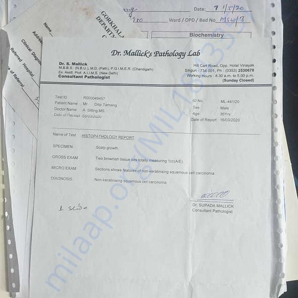 Admission letter