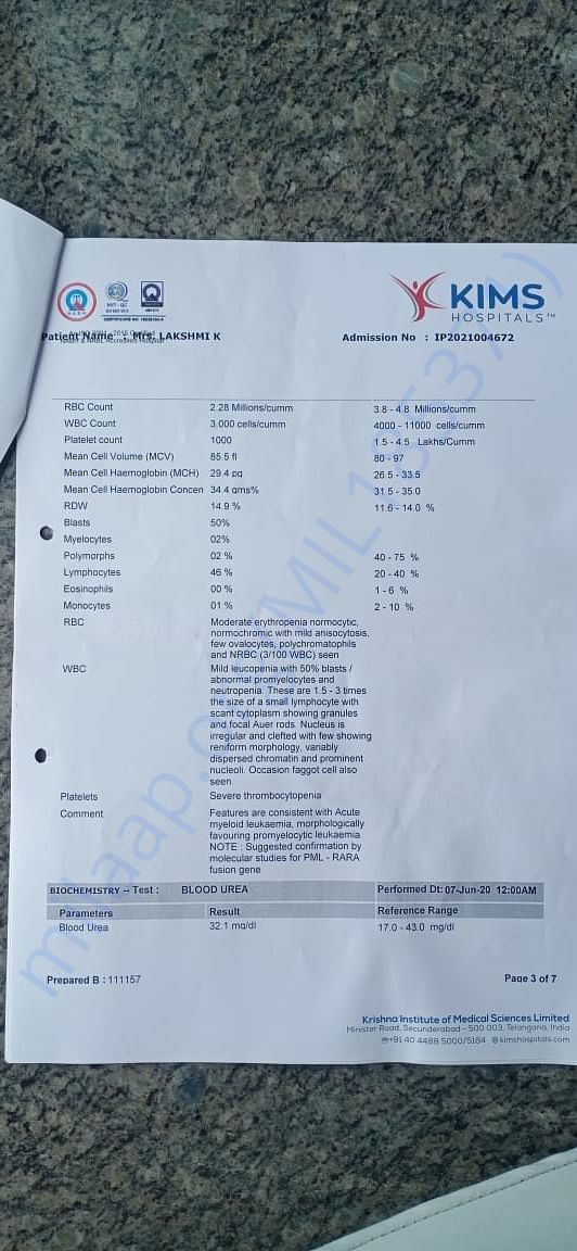 Document