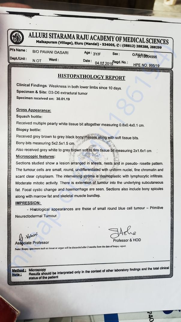 HISTOPATHOLOGY REPORT