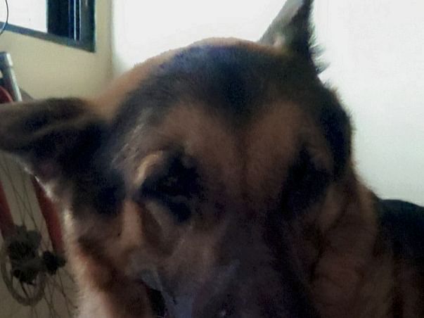 Help Spencer Get A Happy Life