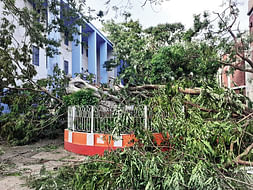 Make Jadavpur University Green Again