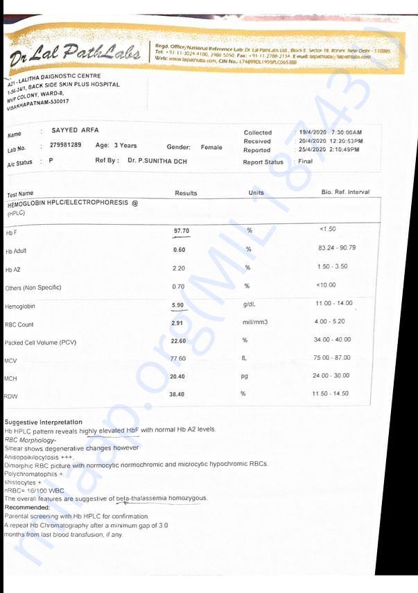 Mohammad Arfha Medical reports.