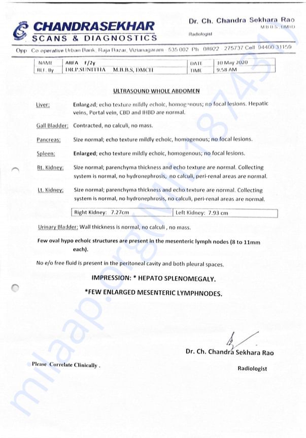 Mohammad Arfha Medical reports.
