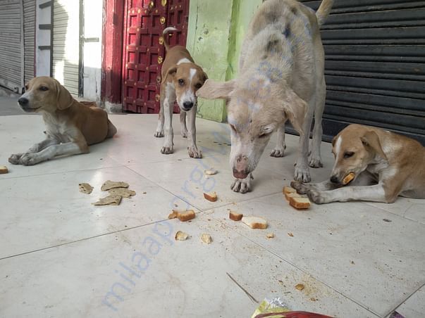 Mumma and kids
