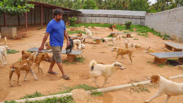 31-YO Left His Job To Rescue And Rehabilitate Street Dogs In | Milaap
