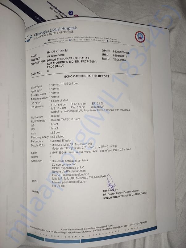 Document