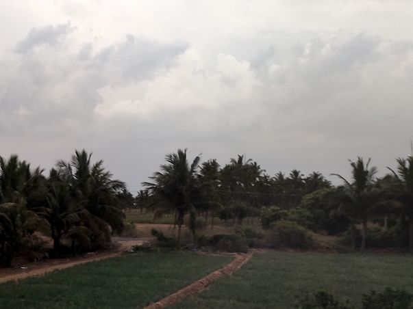 Funding needed for Agriculture