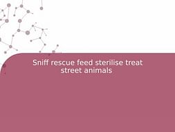 Sniff rescue feed sterilise treat street animals