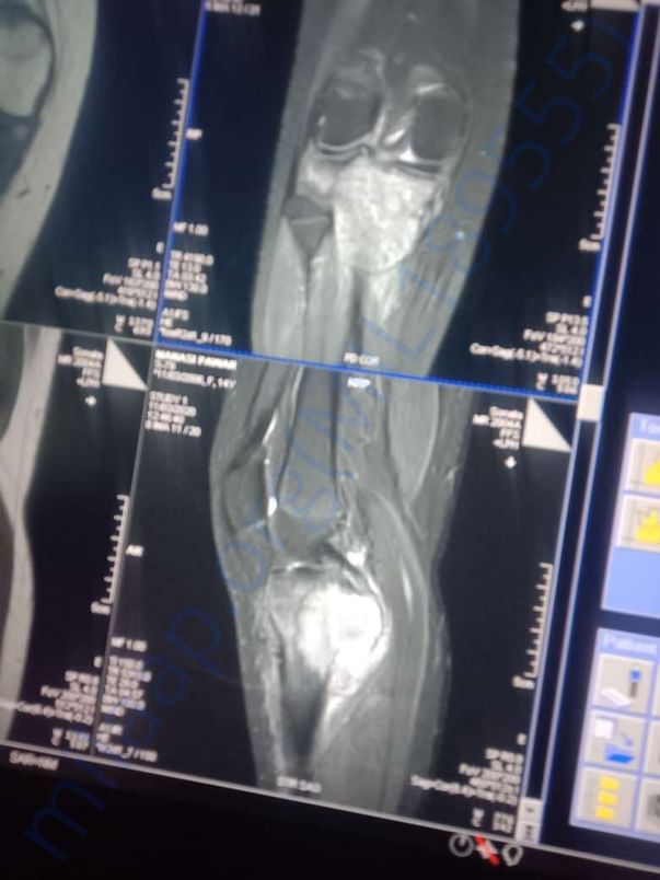 xray document