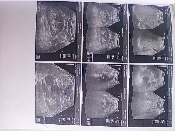 Medical report
