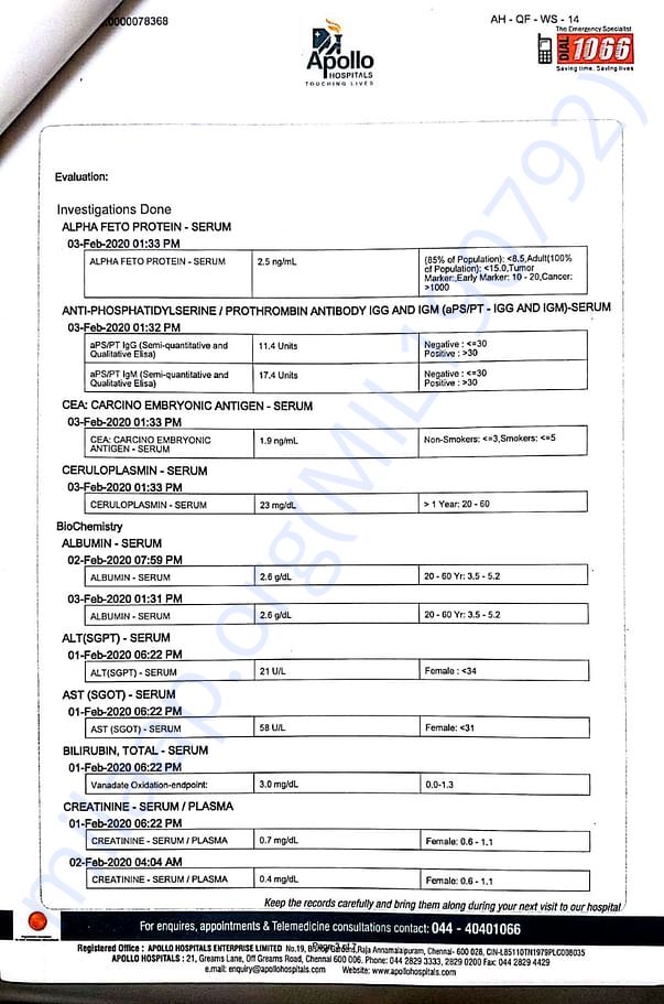 Report Page4