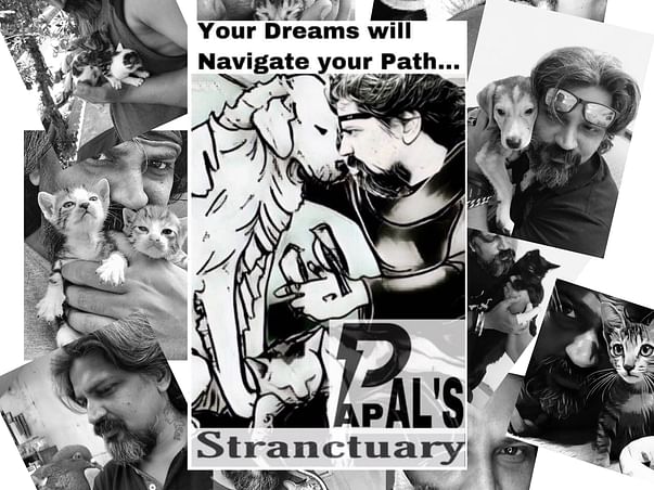 Help Pappal take care of 100+ rescued stray animals...
