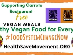 Let’s Fight Hunger