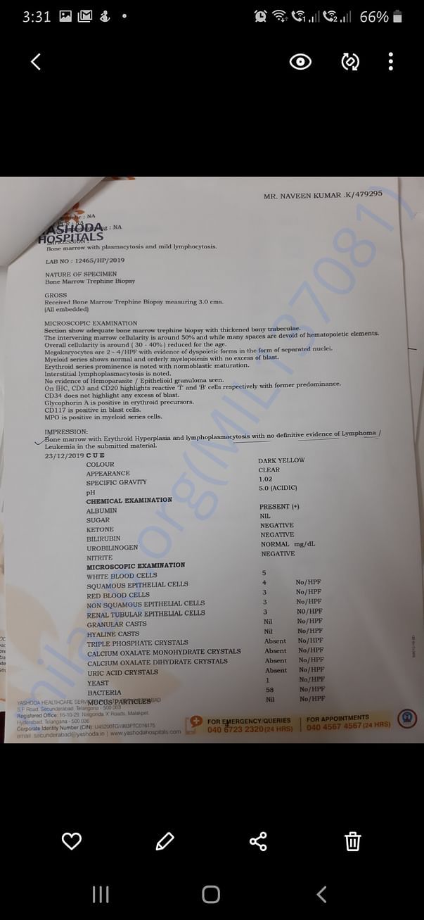 Medical reports