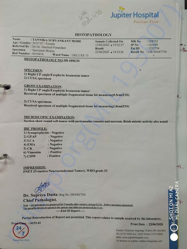 Investigation report2